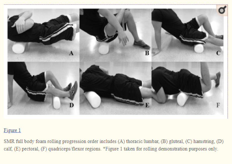 Q What do foam rollers do besides hurt a lot? — Science For Your